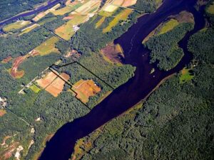 Dresden conservation